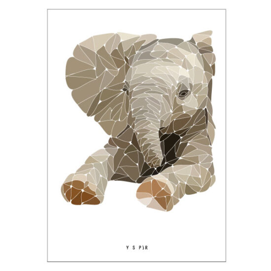 BabyFant
